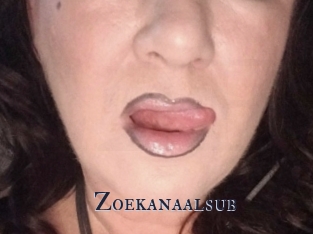 Zoekanaalsub